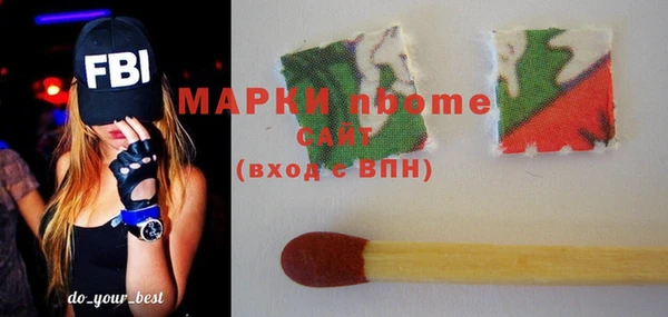 дмт Гусев