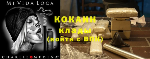 индика Дмитровск