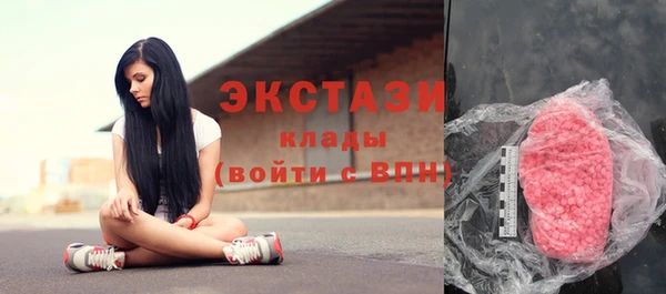 дмт Гусев