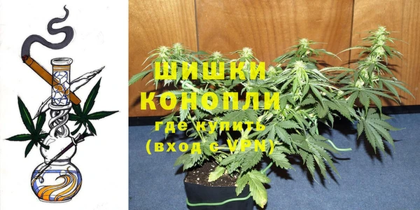 соль ск Гусиноозёрск