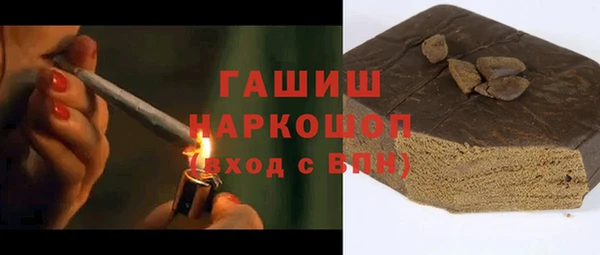 гашик Тихвин