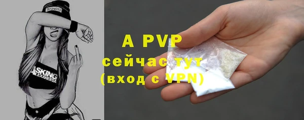 соль ск Гусиноозёрск