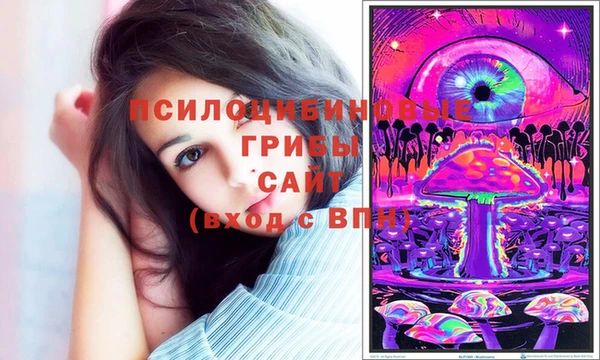 кристаллы Гусь-Хрустальный