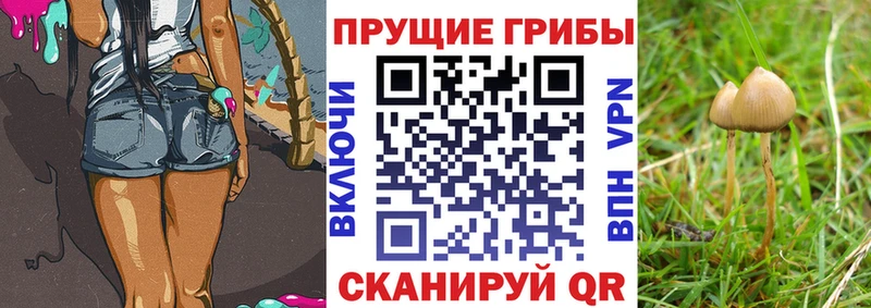 Галлюциногенные грибы GOLDEN TEACHER  площадка формула  Дудинка 